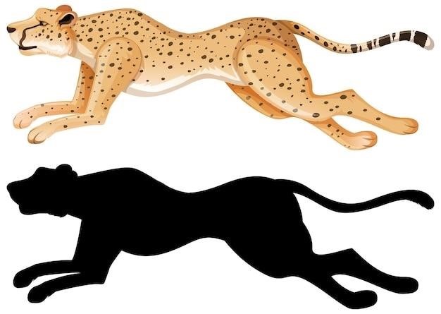 supple leopard pdf